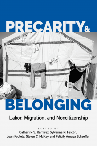 Precarity and Belonging book cover